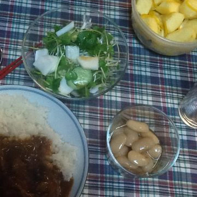 ごめん うちは当分普通のごはん