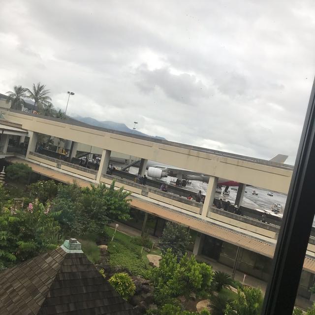 帰国しました