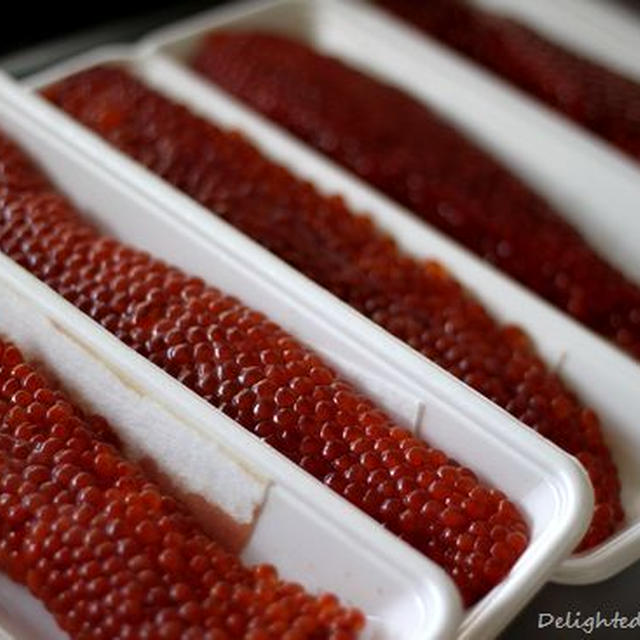 再びいくらの醤油漬け、そしてわが家のフリーザー事情