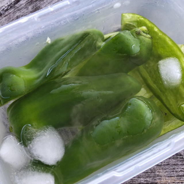 パリパリピーマン 氷水に浸けとくだけ 肉味噌でいただきます