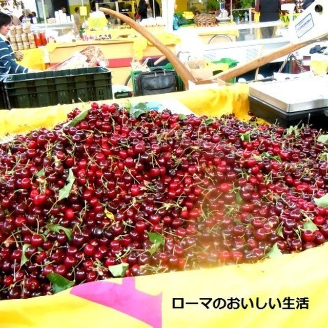 さくらんぼの季節～♪・・・と　この頃の私