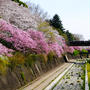 昭和記念公園