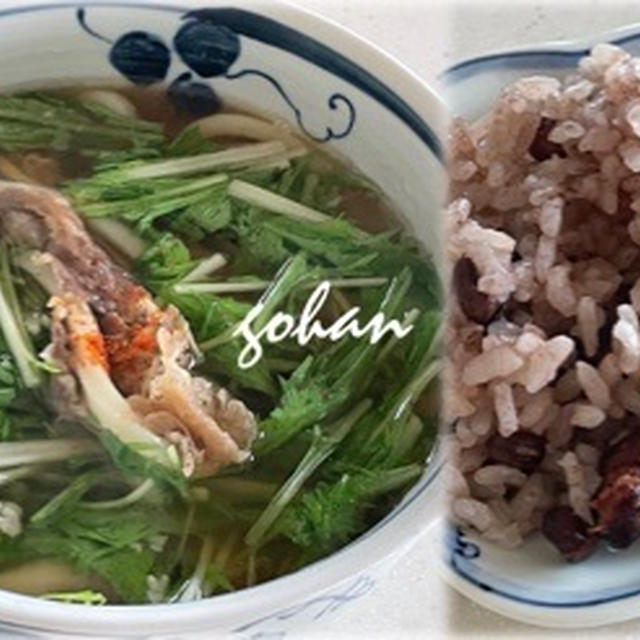 5/5(月)  肉うどん