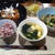 鯖のピリ辛味噌煮