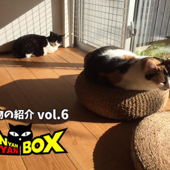 [転載]第9回にゃんにゃんBOX～贈り物vol.6～