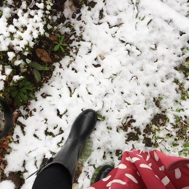 雪