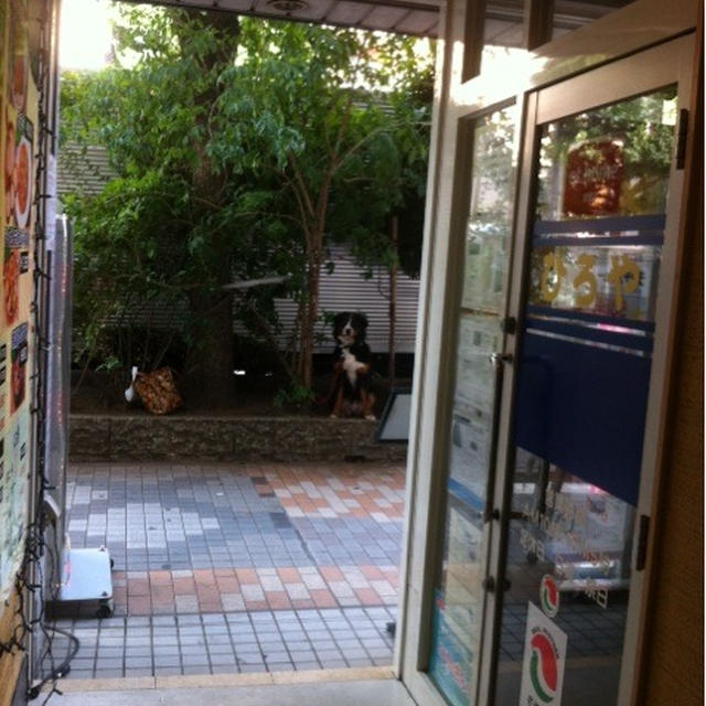 犬連れ 韓国料理屋さん