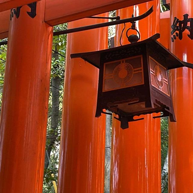 伏見稲荷と藤森神社