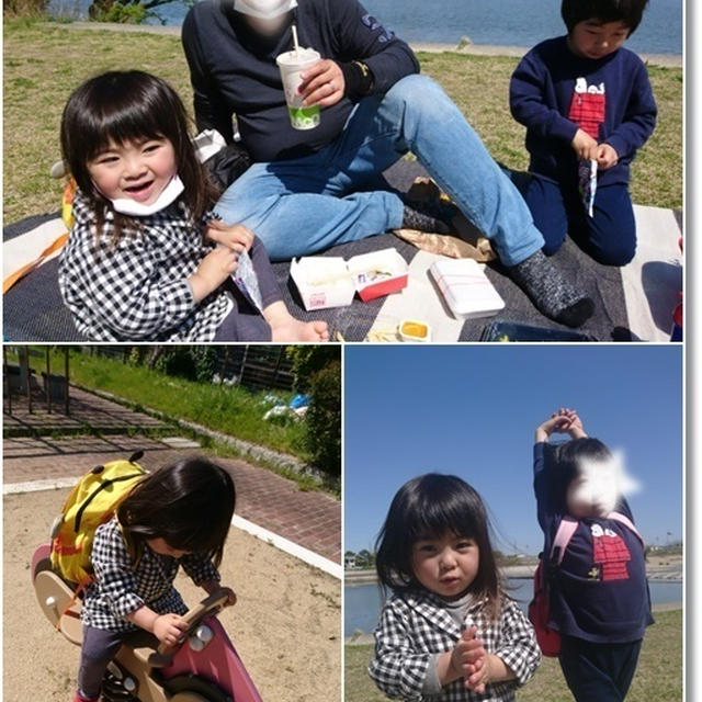 【ただの日記(笑)】ピクニックで最大のピンチ！？とイヤイヤ期の２歳児姫のギャン泣き
