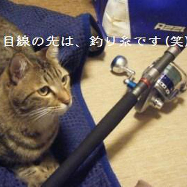 我が家のアイドル★