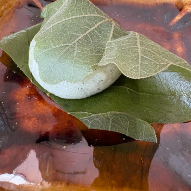 柏餅と抹茶