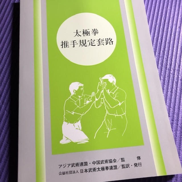 推手の練習2回目
