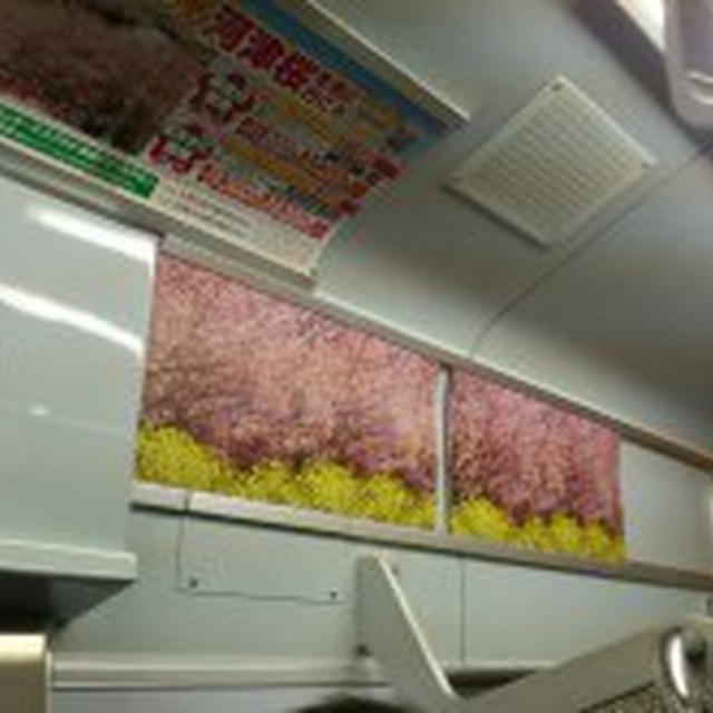 2/20 桜電車♡
