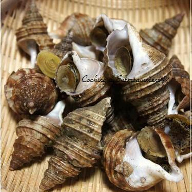 **美味旬彩**【つぶ貝の潮蒸し】～旨い酒には旨い肴～