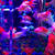 ART AQUARIUM