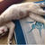 猛暑タイムはみんなでゴロ寝