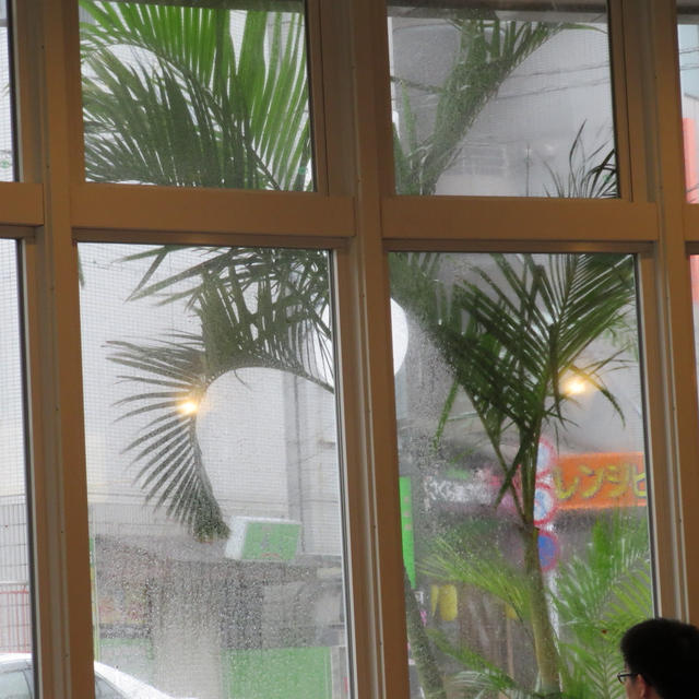 台風来た～っ！