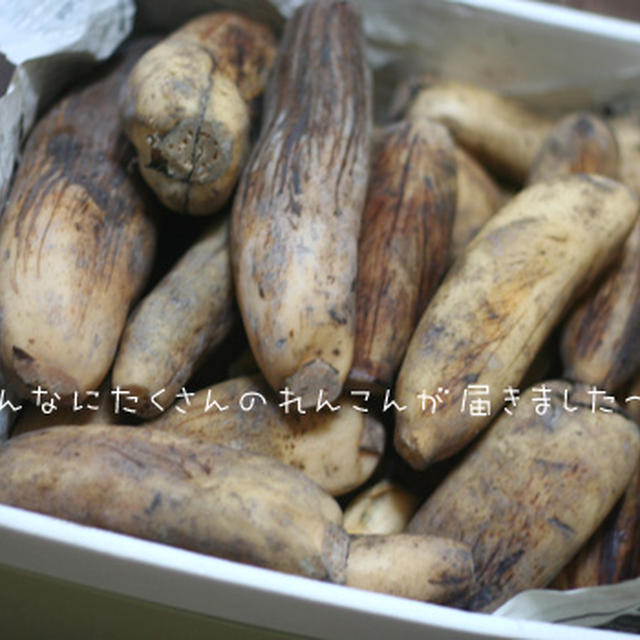 れんこんご飯