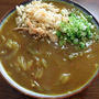 久々の家うどんは「カレーうどん」