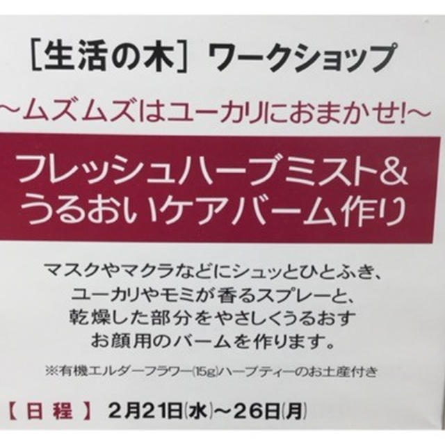 【生活の木】花粉症対策★スキンケア ワークショップに参加