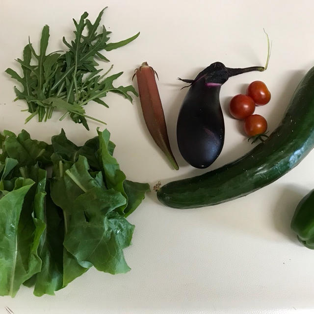 庭取れ野菜のセロトニンUPサラダ