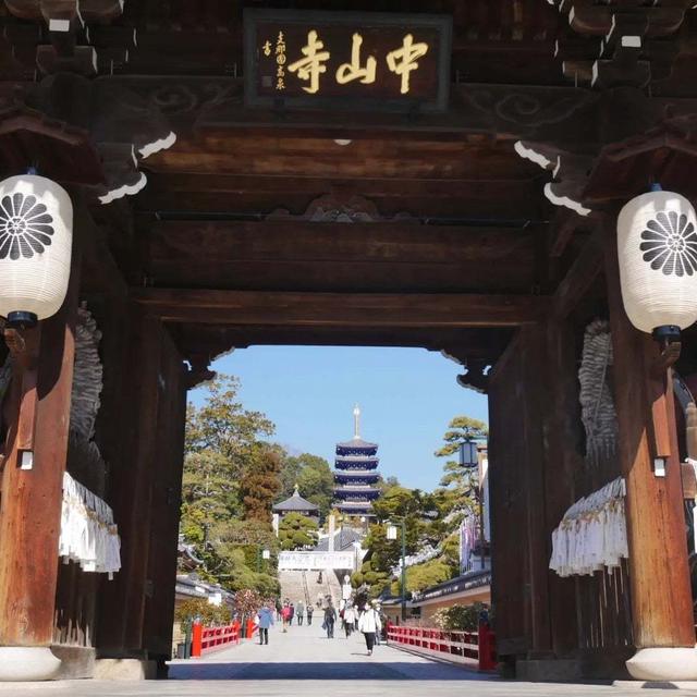 中山観音の梅林#今年の梅の写真