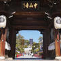 中山観音の梅林#今年の梅の写真