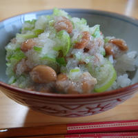 ネギと大根おろし納豆がけごはん