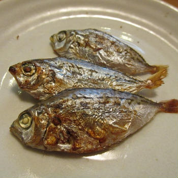 【旨魚料理】沖ヒイラギの干物