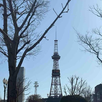 日帰りバスツアー（富良野・美瑛・旭川空港）
