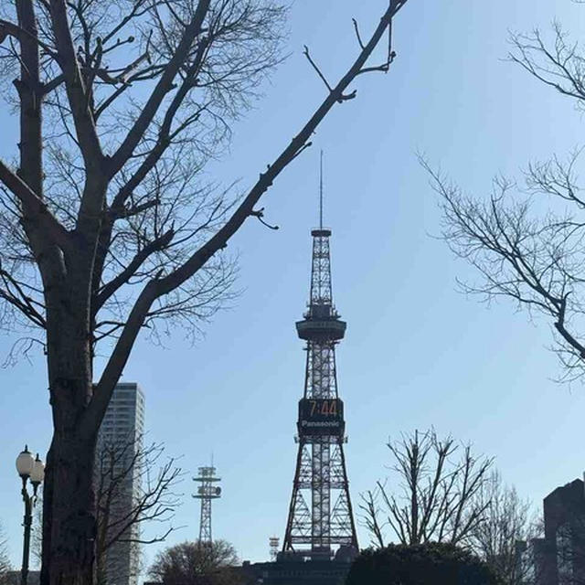 日帰りバスツアー（富良野・美瑛・旭川空港）