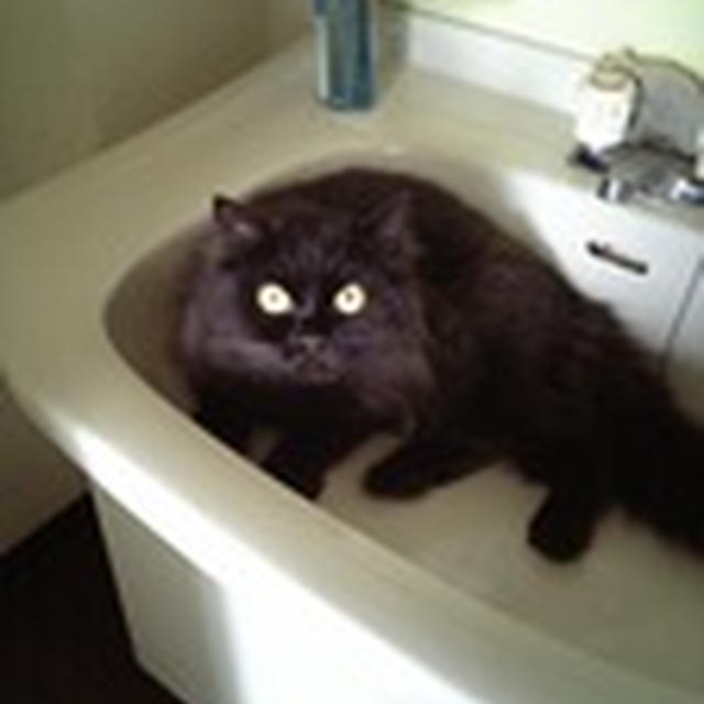 はじめ〜て