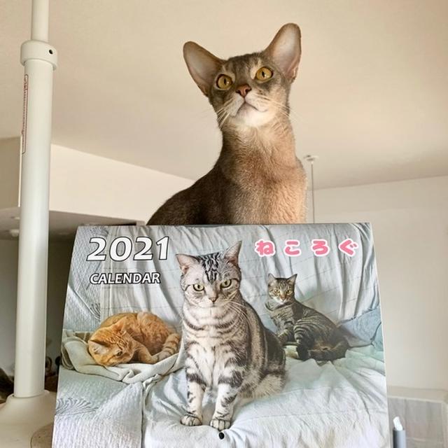 『ねころぐカレンダー』販売中♪