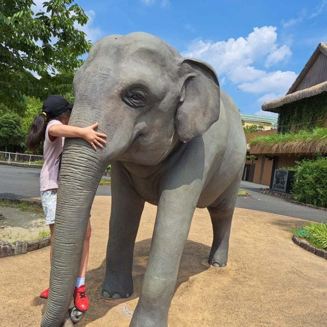 コアラとシャバーニに会いに!!東山動物園♪
