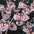 早咲き桜