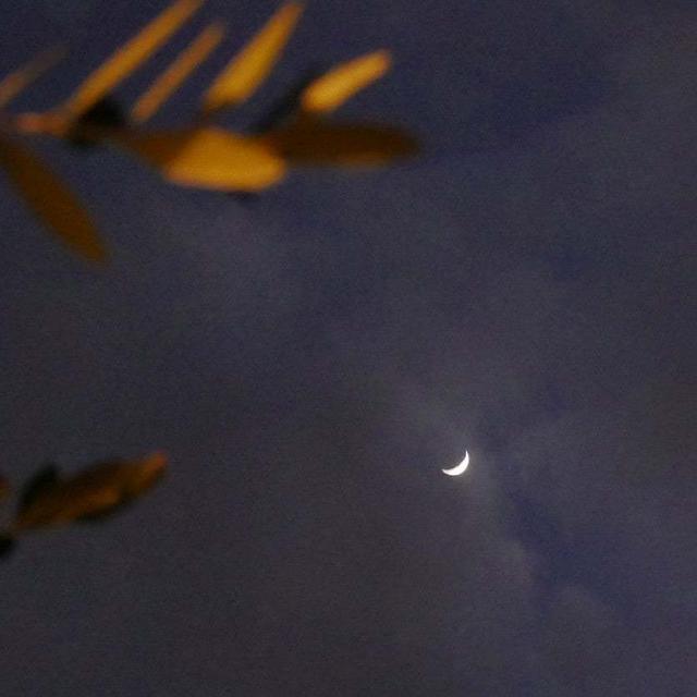 今日の三日月#最近撮った写真は