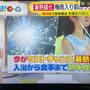 夏バテ対策の食事は今からやらないと遅い