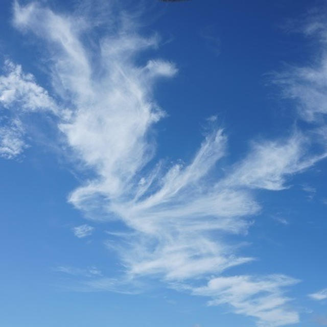 空駆ける・・・青と白