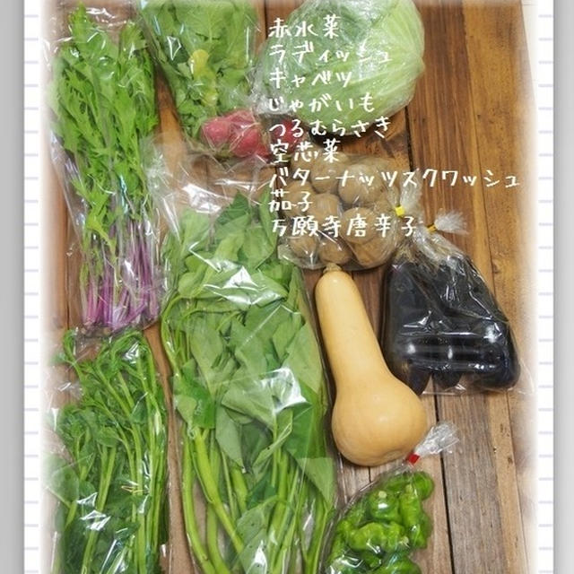 9月最終週　のお買い物と　ちょこっと仕込み。　そして夕飯まとめ。