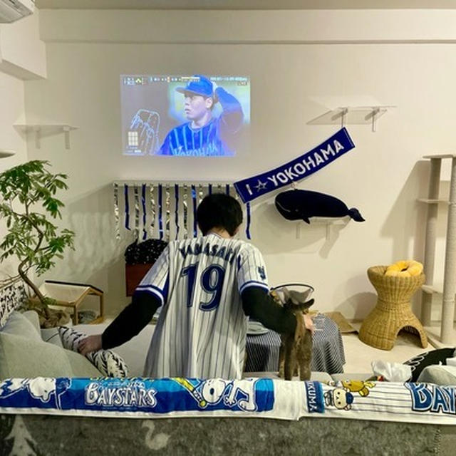 プロ野球開幕戦　〜おうちでスタジアムごはん風♪