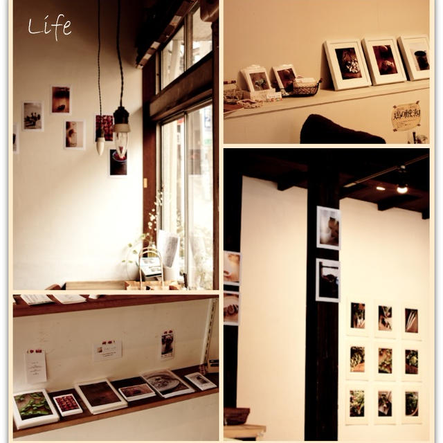 写真展「Life　生きる、暮らす、食べる」、こんな感じです♪
