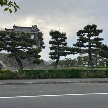 外国人が増えたなぁ～
