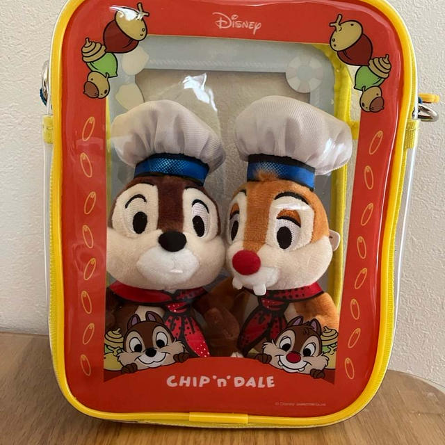 【202506ディズニー】届きました！ドナ＆チデの「見ぃつけたっ」
