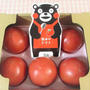 【時短レシピ】栄養満点！熊本県産トマトでトマトおでん