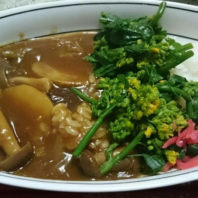 冷蔵庫の野菜室掃除～野菜カレー 常備菜