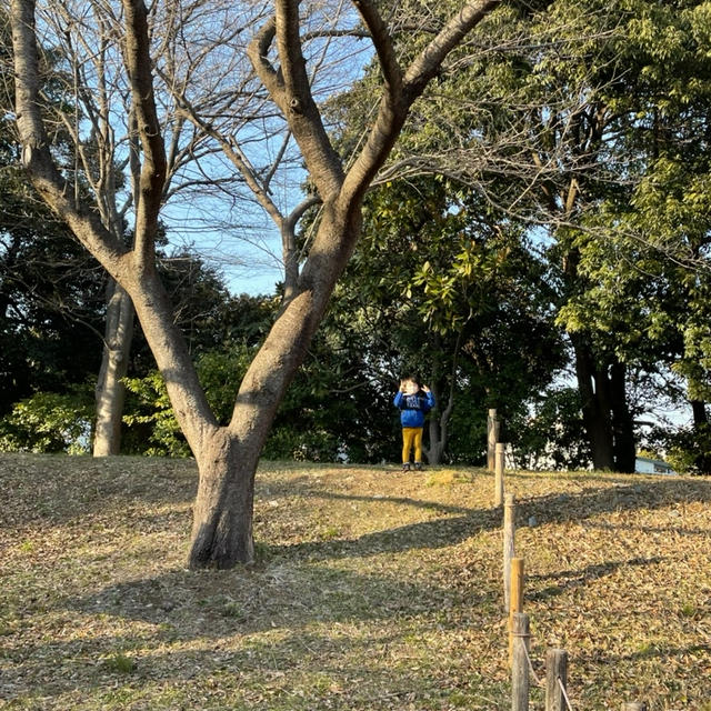 リフレッシュ