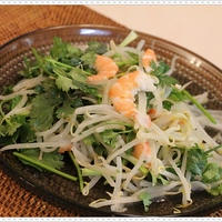 スパイス大使☆もやしのエスニック風♪ナムル☆