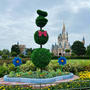 久しぶりのディズニーランド♡
