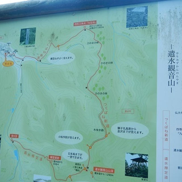 遣水観音山・2014