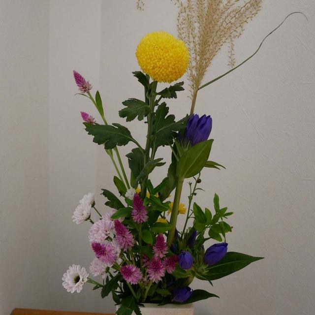 お月見の花束#最近撮った写真は